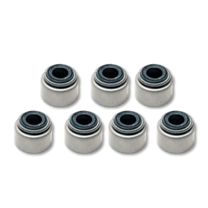 Sellos de Válvula Ref.3170134 Motor KTA38,QSK19Cummins